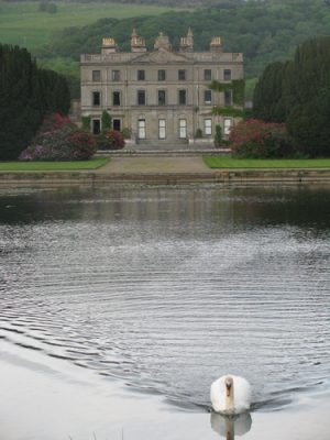 Curraghmore Swan